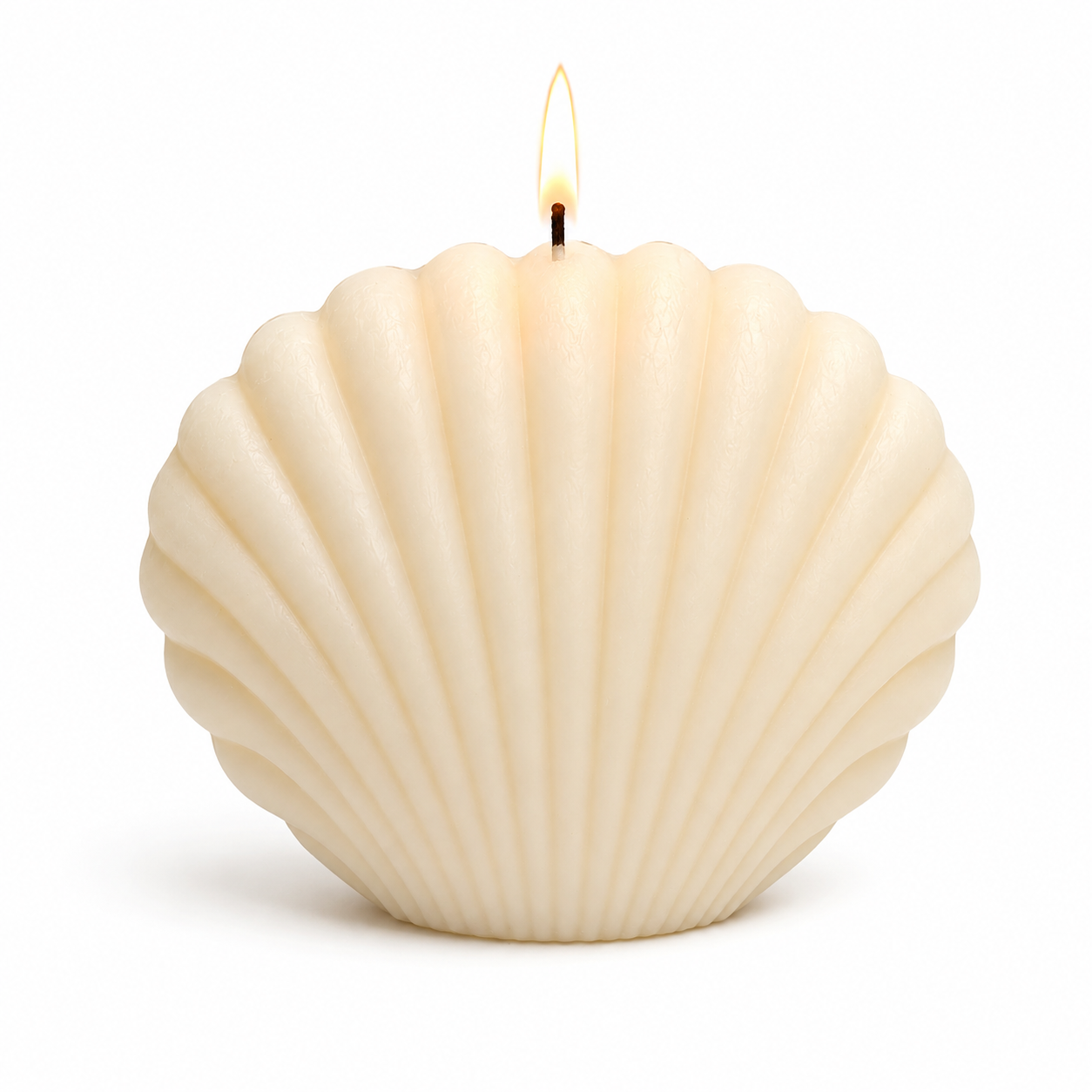 Small Scallop Shell Mold Candle