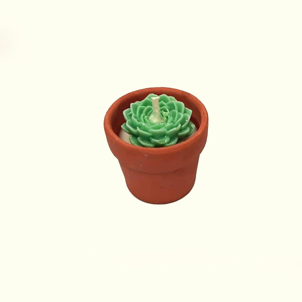 Small Succulent Pot Candle