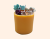 Tohafa Botanical Scented Candle