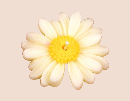 Tohafa Daisy Flower Scented Candle