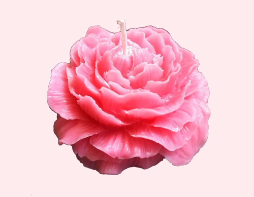Tohafa Peony Scented Candle