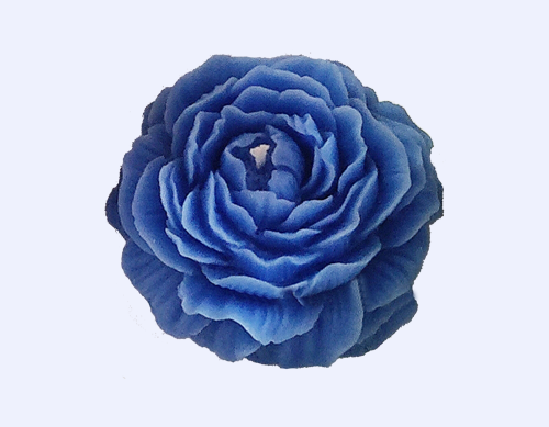 Tohafa Peony Scented Candle