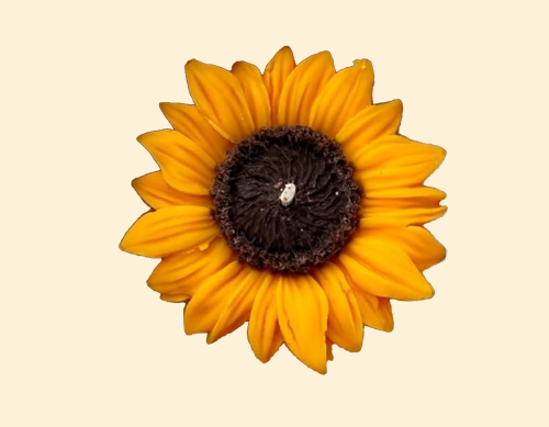 Tohafa Sunflower Scented Candle