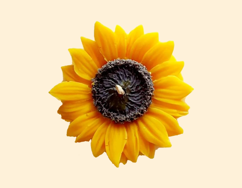 Tohafa Sunflower Scented Candle