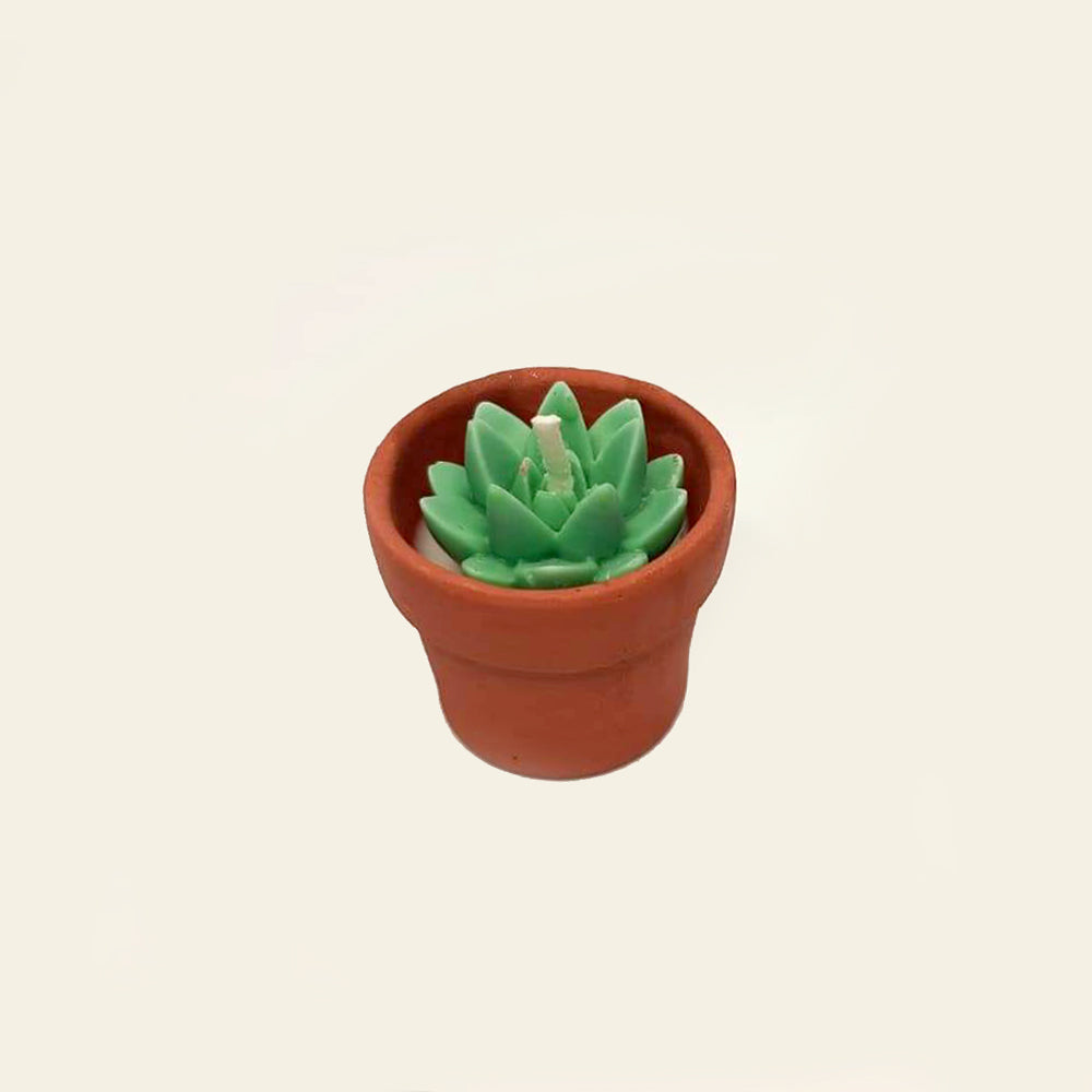 Small Succulent Pot Candle