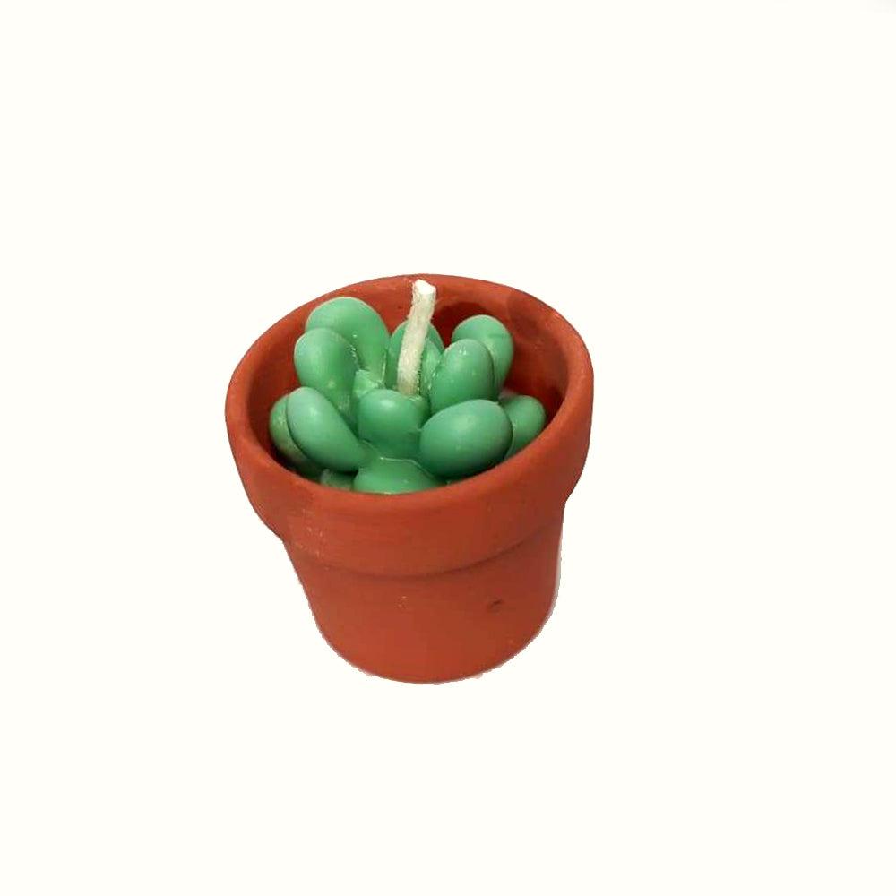 Small Succulent Pot Candle