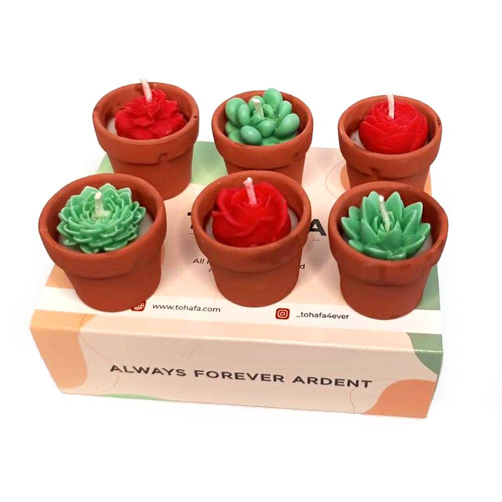 Small Succulent Pot Candle